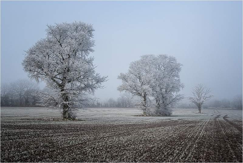 Frosty Morning_Peter Cox.jpg